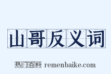 山哥反义词是什么意思的图片